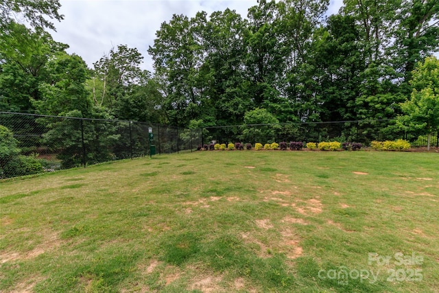 628 Uwharrie River Rd, Charlotte, NC 28211 - view of yard