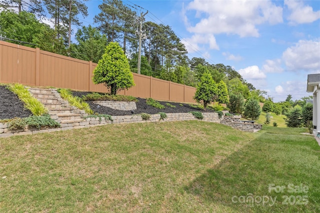 11209 Flenniken Ct, Charlotte, NC 28277 - view of yard