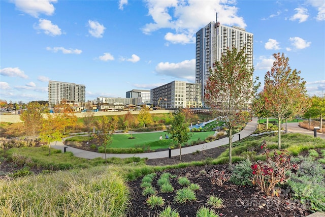 11209 Flenniken Ct, Charlotte, NC 28277 - view of property's community with a putting area and a view of city