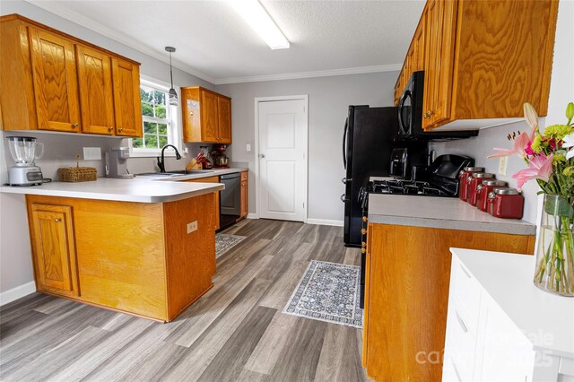 532 Jedburgh Way, Rock Hill, SC 29730 - kitchen with black appliances, wood finished floors, brown cabinetry, light countertops, and a sink