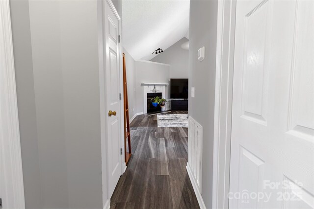 532 Jedburgh Way, Rock Hill, SC 29730 - hall featuring dark wood-style floors, lofted ceiling, and baseboards