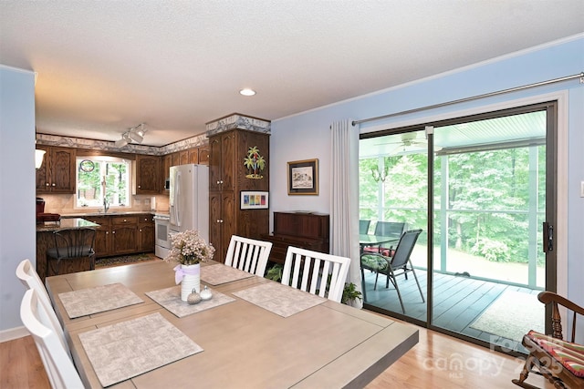 3017 Brooks Mill Ln, Wingate, NC 28174 - dining room with light wood-style floors, crown molding, and a textured ceiling
