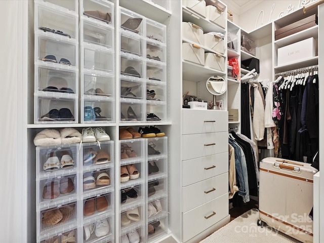 735 Davidson Run Ln, Davidson, NC 28036 - view of spacious closet