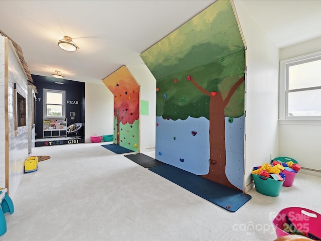 735 Davidson Run Ln, Davidson, NC 28036 - playroom with carpet flooring
