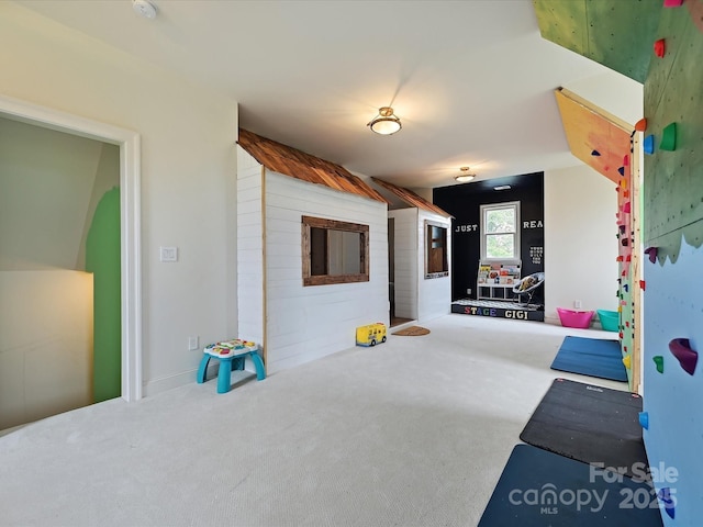 735 Davidson Run Ln, Davidson, NC 28036 - exercise room with carpet