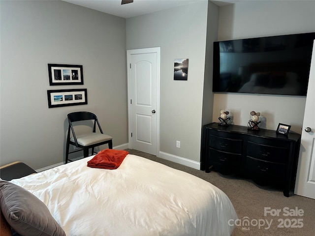110 W Pine St, Lincolnton, NC 28092 - bedroom featuring carpet floors and baseboards