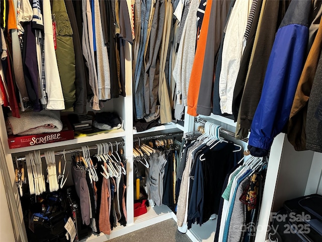 110 W Pine St, Lincolnton, NC 28092 - view of spacious closet