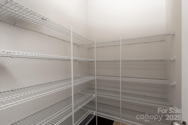 1142 Doveridge St, Charlotte, NC 28273 - view of pantry