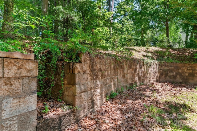 25 Evelake Dr, Asheville, NC 28806 - view of yard