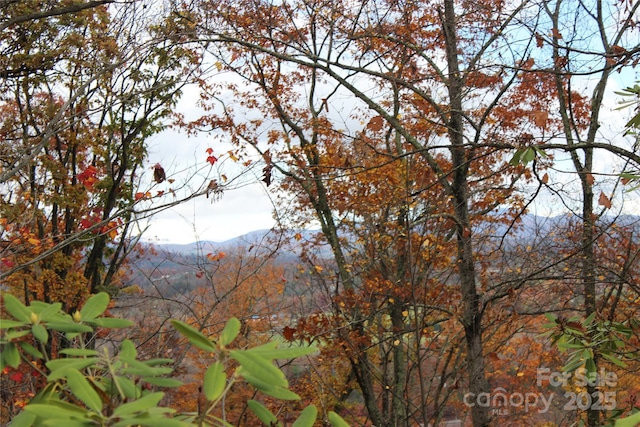 R1 Curtain Blf, Hendersonville, NC 28791