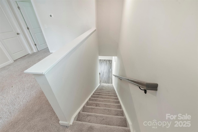 502 Tayberry Ln, Fort Mill, SC 29715 - photo 21
