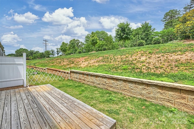 502 Tayberry Ln, Fort Mill, SC 29715 - photo 33