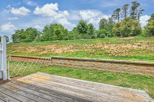 502 Tayberry Ln, Fort Mill, SC 29715 - photo 34
