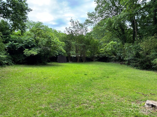 7316 Truelight Church Rd, Mint Hill, NC 28227 - photo 29