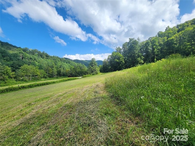 5570 Meadow Fork Rd, Hot Springs, NC 28743
