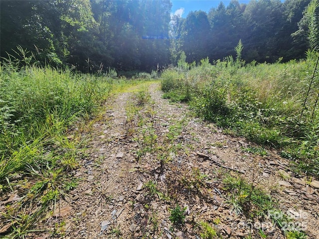 5570 Meadow Fork Rd, Hot Springs, NC 28743