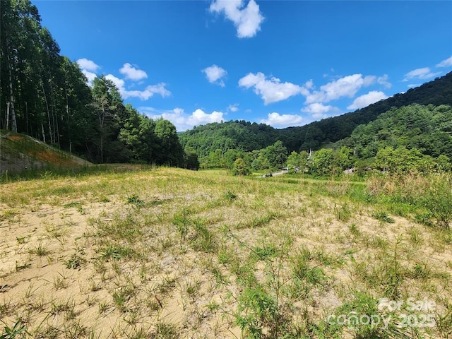 5570 Meadow Fork Rd, Hot Springs, NC 28743