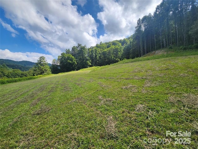 5570 Meadow Fork Rd, Hot Springs, NC 28743