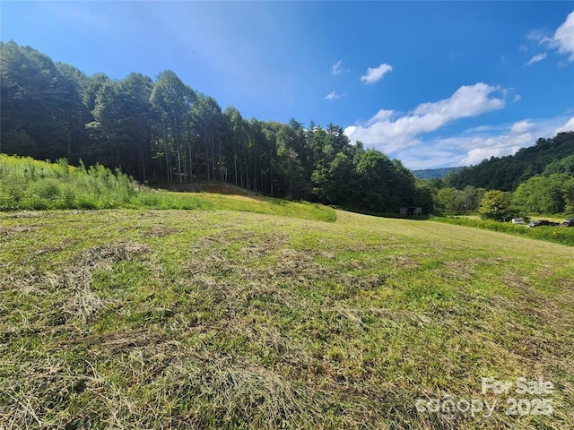 5570 Meadow Fork Rd, Hot Springs, NC 28743