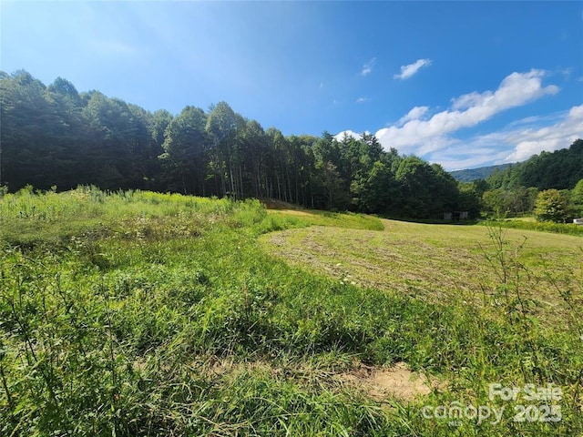 5570 Meadow Fork Rd, Hot Springs, NC 28743