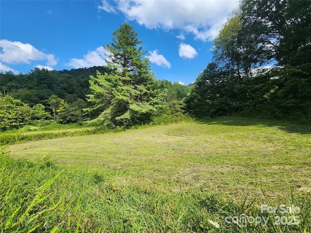 5570 Meadow Fork Rd, Hot Springs, NC 28743