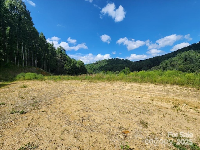5570 Meadow Fork Rd, Hot Springs, NC 28743