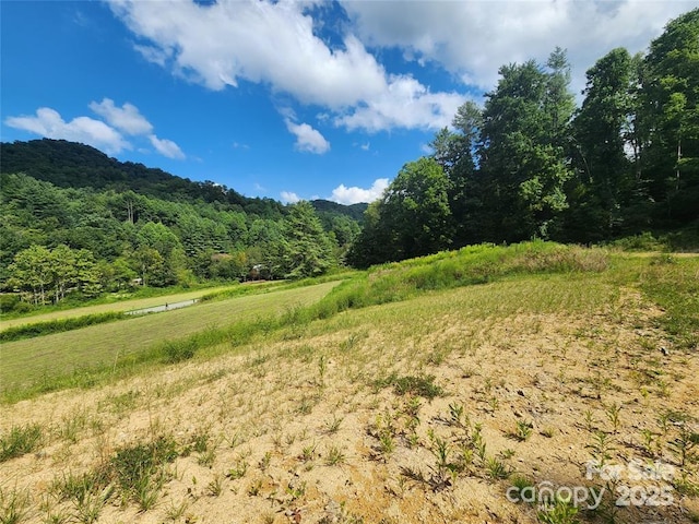 5570 Meadow Fork Rd, Hot Springs, NC 28743