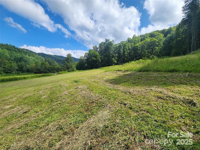 5570 Meadow Fork Rd, Hot Springs, NC 28743
