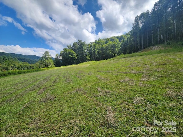 5570 Meadow Fork Rd, Hot Springs, NC 28743