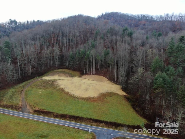 5570 Meadow Fork Rd, Hot Springs, NC 28743