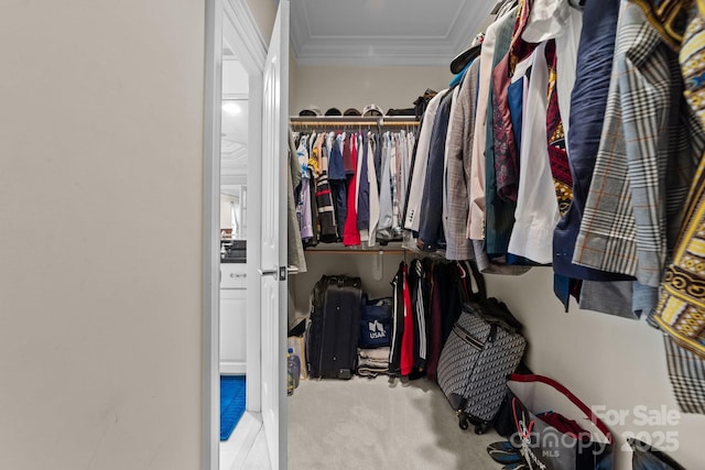 196 Arnold Palmer Dr, Advance, NC 27006 - photo 28