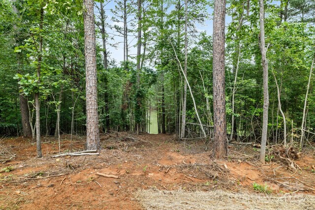 5025 Harbor View Dr E, Granite Falls, NC 28630 - view of nature
