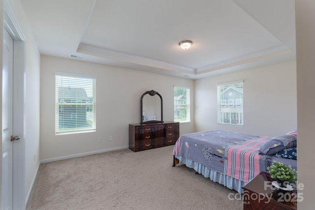 1004 Earlston Rd, Indian Trail, NC 28079 - carpeted bedroom with a raised ceiling, ornamental molding, and baseboards