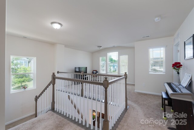 1004 Earlston Rd, Indian Trail, NC 28079 - corridor featuring an upstairs landing, carpet, and baseboards