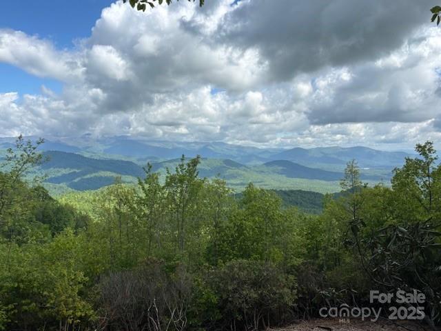 99999 Cliffledge Trl, Black Mountain, NC 28711 - photo 1