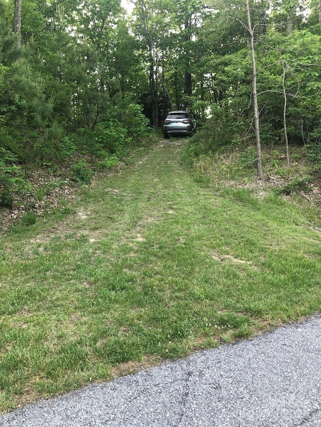 99999 Cliffledge Trl, Black Mountain, NC 28711 - photo 3