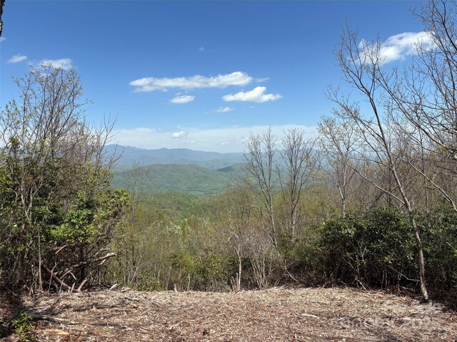 99999 Cliffledge Trl, Black Mountain, NC 28711 - photo 4