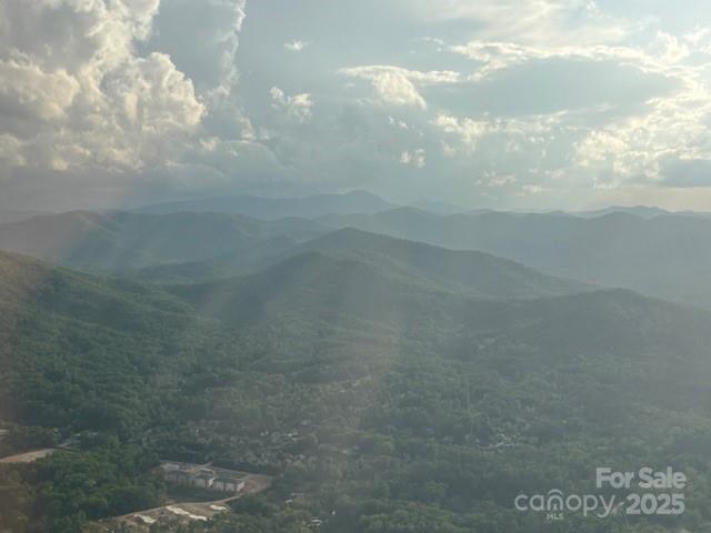 99999 Cliffledge Trl, Black Mountain, NC 28711 - photo 5