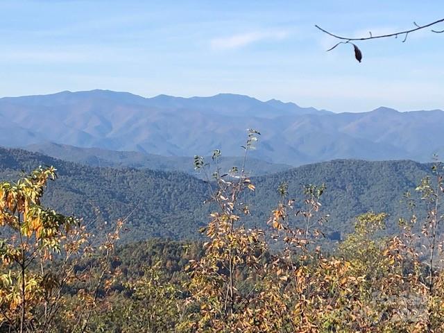 99999 Cliffledge Trl, Black Mountain, NC 28711 - photo 6
