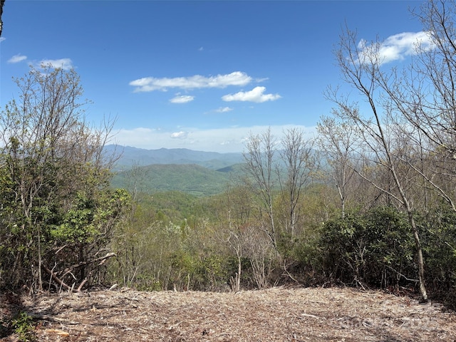 99999 Cliffledge Trl, Black Mountain, NC 28711 - photo 7