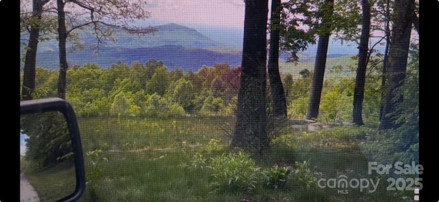 99999 Cliffledge Trl, Black Mountain, NC 28711 - photo 8