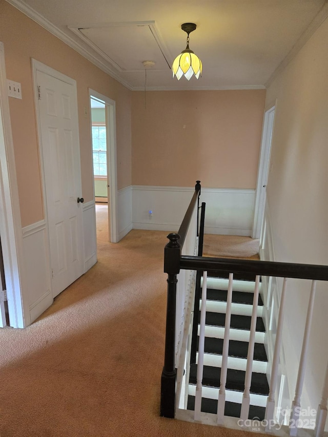 9225 Robinson Church Rd, Charlotte, NC 28215 - stairway with attic access, carpet floors, a wainscoted wall, and ornamental molding