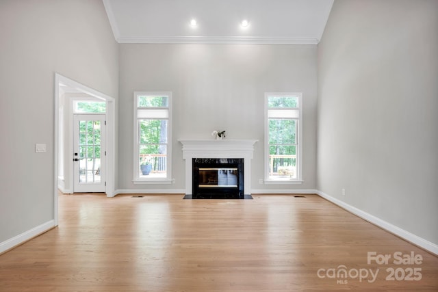 12711 Duncourtney Ln, Charlotte, NC 28277 - unfurnished living room with crown molding, a fireplace, baseboards, wood finished floors, and a high ceiling