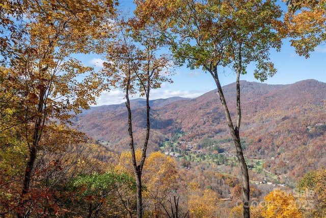 339 Tsalagi Trl, Maggie Valley, NC 28751 - view of mountain backdrop featuring a forest