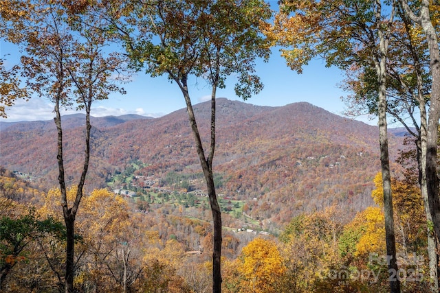 339 Tsalagi Trl, Maggie Valley, NC 28751 - view of mountain background with a heavily wooded area