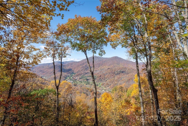 339 Tsalagi Trl, Maggie Valley, NC 28751 - view of mountain backdrop featuring a forest
