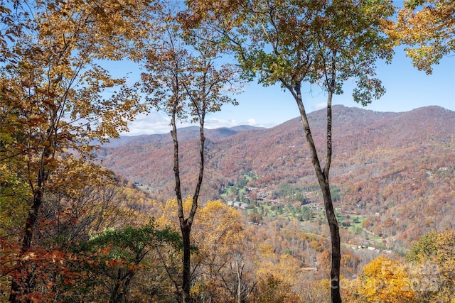 339 Tsalagi Trl, Maggie Valley, NC 28751 - view of mountain backdrop featuring a forest