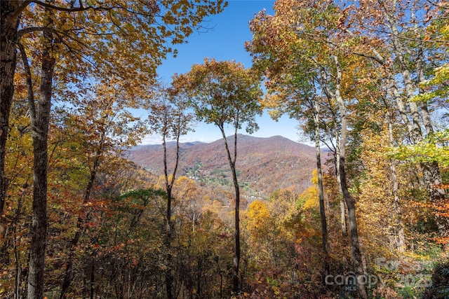 339 Tsalagi Trl, Maggie Valley, NC 28751 - view of mountain background with a heavily wooded area