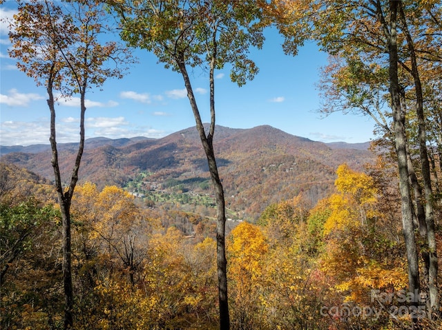 339 Tsalagi Trl, Maggie Valley, NC 28751 - mountain view with a heavily wooded area