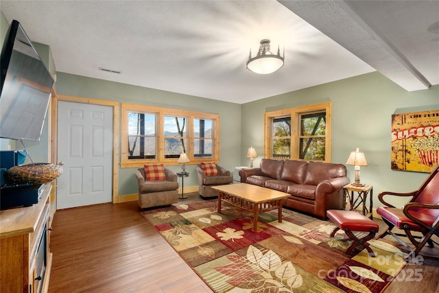 339 Tsalagi Trl, Maggie Valley, NC 28751 - living area featuring wood finished floors and baseboards